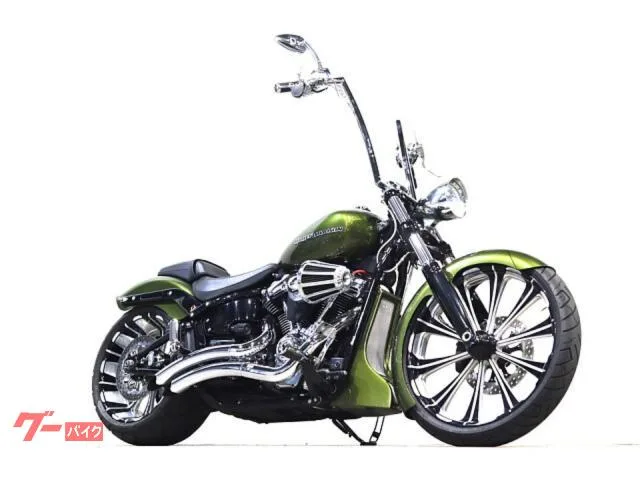 HARLEY-DAVIDSON FXBRS 114 2318PM 2022 — фото 1, купить с доставкой в Москву