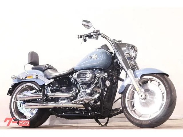 HARLEY-DAVIDSON FLFBS 114 VANCE HDOP 2024 — фото 1, купить с доставкой в Москву