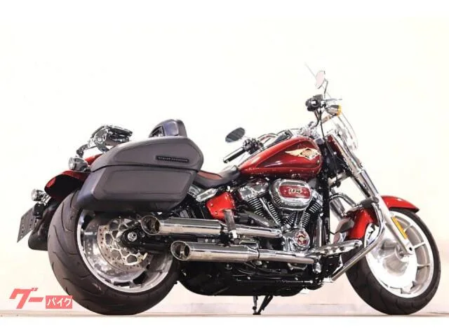 HARLEY-DAVIDSON FLFBS 114 2023yM Jekill HDOP/ ETC 2023 — миниатюра 5
