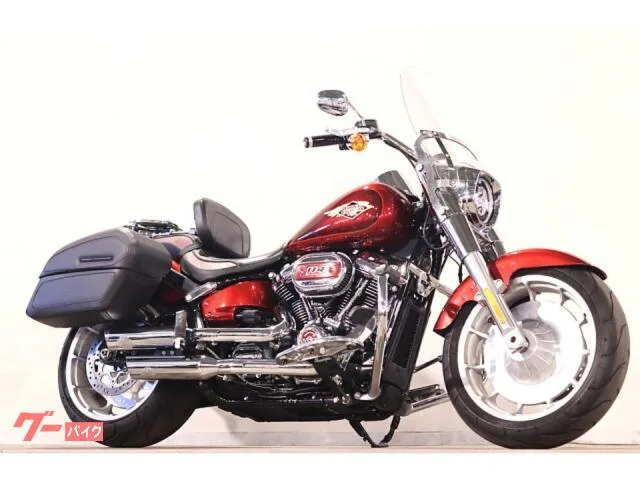 HARLEY-DAVIDSON FLFBS 114 2023yM Jekill HDOP/ ETC 2023 — фото 1, купить с доставкой в Москву