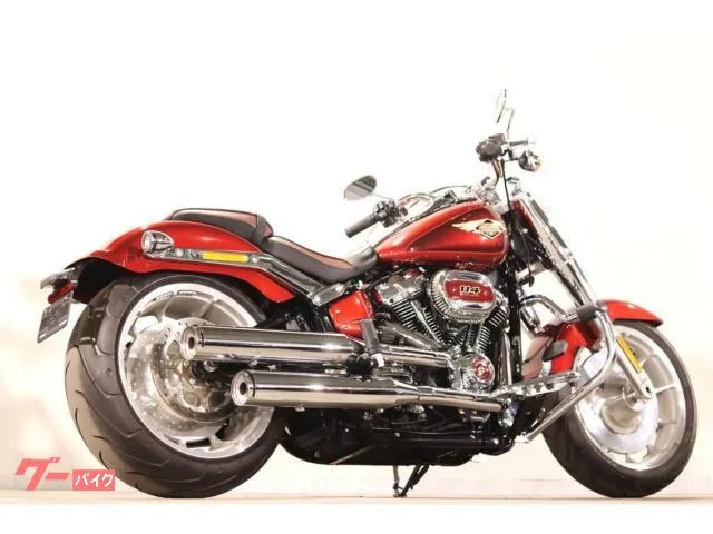 HARLEY-DAVIDSON FLFBS 114 120 1522 HDOP/ 2023 — миниатюра 4