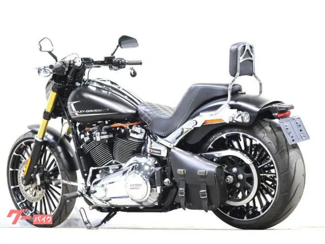 HARLEY-DAVIDSON FXBR MOTORSTAGE ArlenNess Saddlemen 2023 — миниатюра 3
