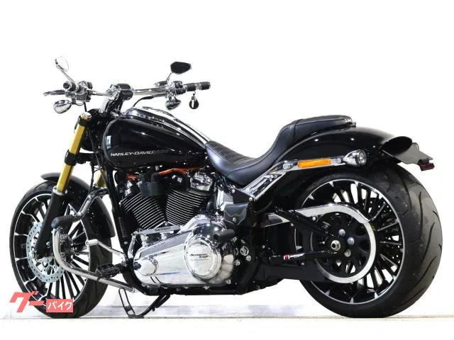 HARLEY-DAVIDSON FXBR SE ArlenNess 2023 — миниатюра 3