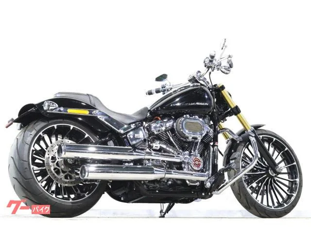 HARLEY-DAVIDSON FXBR SE ArlenNess 2023 — миниатюра 4