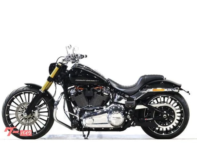 HARLEY-DAVIDSON FXBR SE ArlenNess 2023 — миниатюра 5