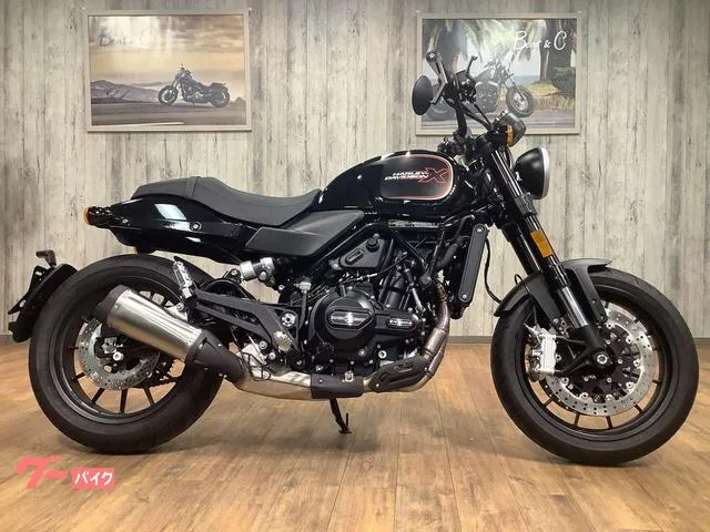 HARLEY-DAVIDSON X500 2024 — миниатюра 2