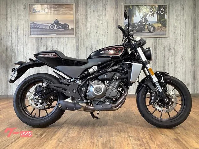 HARLEY-DAVIDSON X350 2024 — миниатюра 4