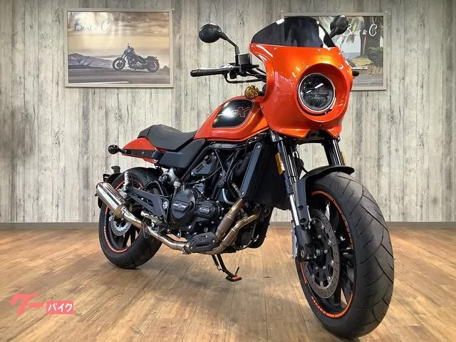 HARLEY-DAVIDSON X500 2024 — миниатюра 5