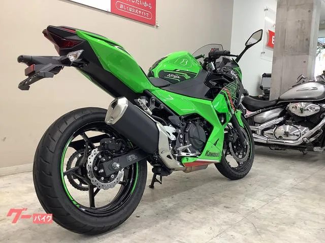 Kawasaki Ninja 250 EX250Y 2024 — миниатюра 2