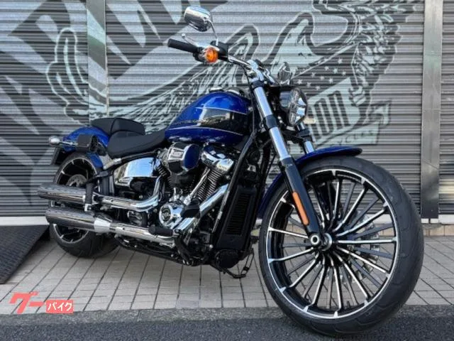 HARLEY-DAVIDSON FXBR LED BETC 2024 — фото 1, купить с доставкой в Москву