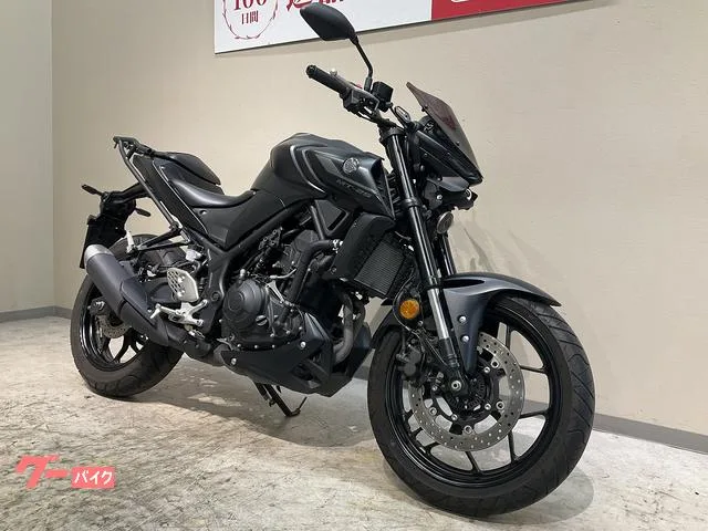 Yamaha MT-25 2022 — миниатюра 2