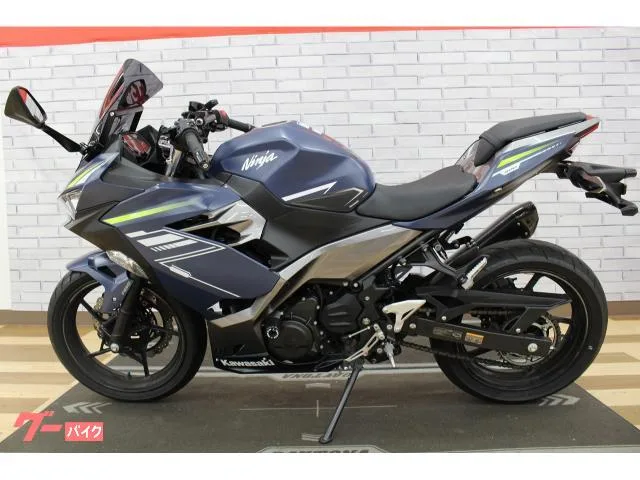 Kawasaki Ninja 400 2022 — миниатюра 2