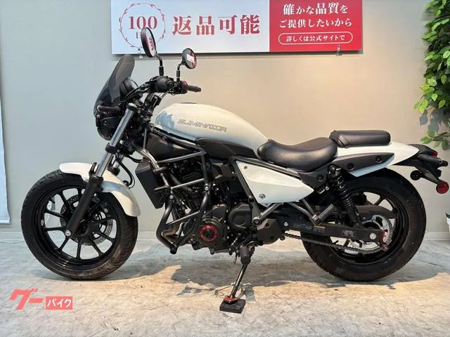 Kawasaki 400 USB 2024 — миниатюра 2