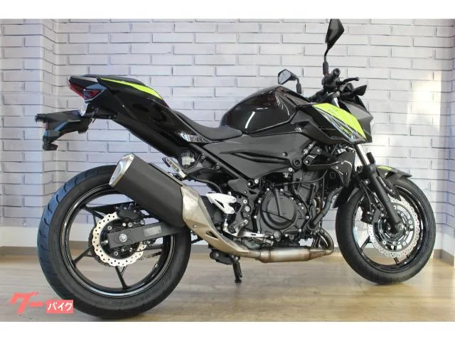 Kawasaki Z250 2022 — миниатюра 3