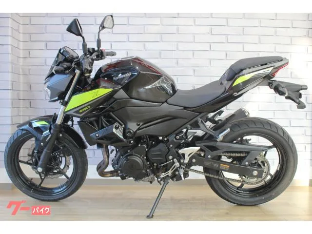 Kawasaki Z250 2022 — миниатюра 5