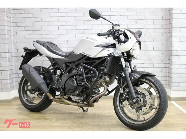 Suzuki SV650X 2023 — фото 1, купить с доставкой в Москву