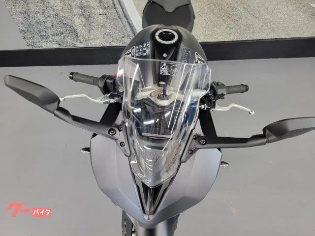 TRIUMPH 660 2024 — миниатюра 4
