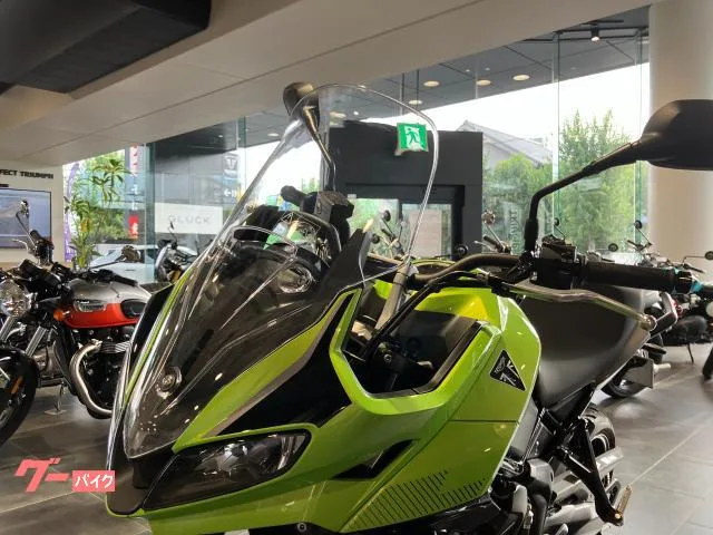 TRIUMPH 660 2025 — миниатюра 2