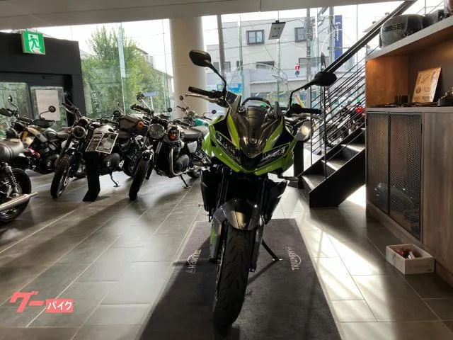 TRIUMPH 660 2025 — миниатюра 4