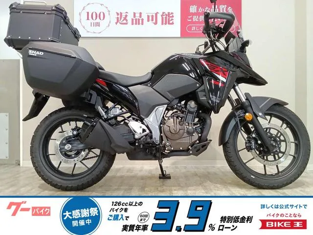 Suzuki V- 250/SHAD / 2023 — фото 1, купить с доставкой в Москву