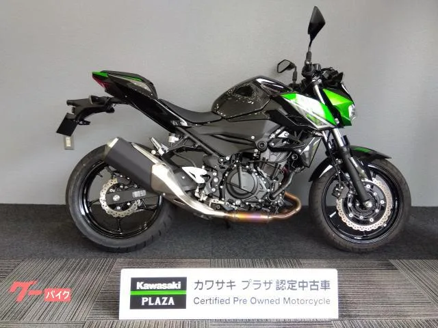 Kawasaki Z250 ETC2.0 2023 — миниатюра 3