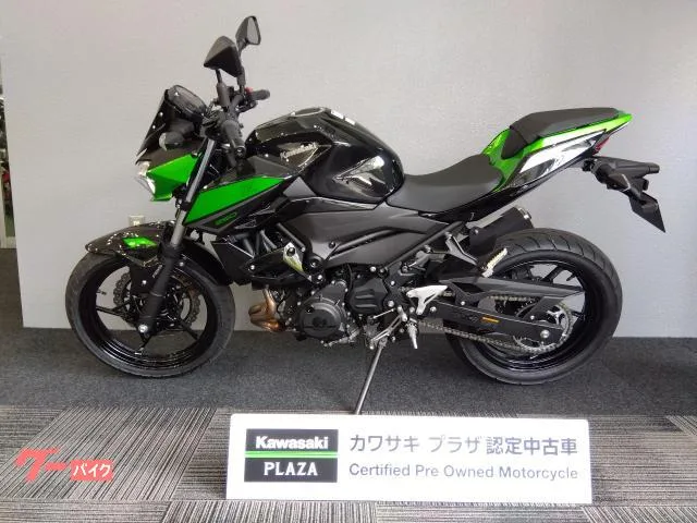 Kawasaki Z250 ETC2.0 2023 — миниатюра 4