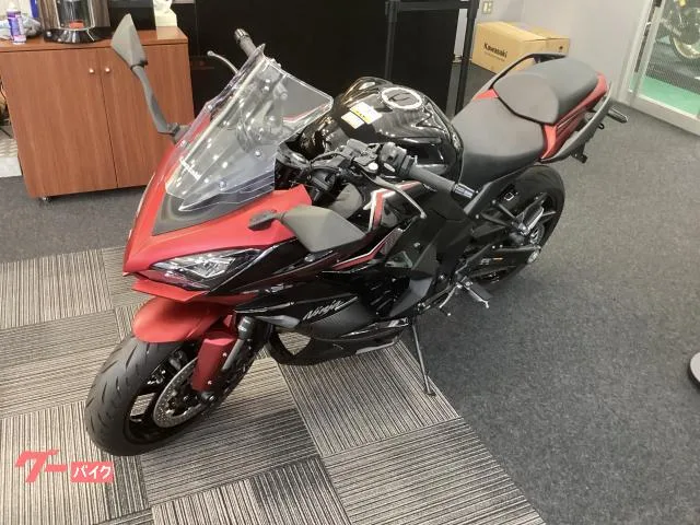 Kawasaki Ninja 1000 SX ETC2.0 2023 — миниатюра 5