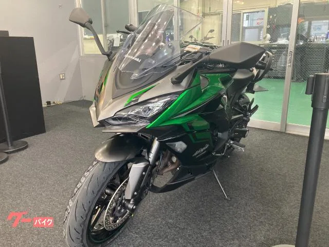 Kawasaki Ninja 1000 SX ETC2.0 2024 — миниатюра 5