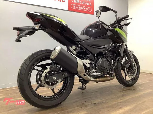 Kawasaki Z250 2022 — миниатюра 2