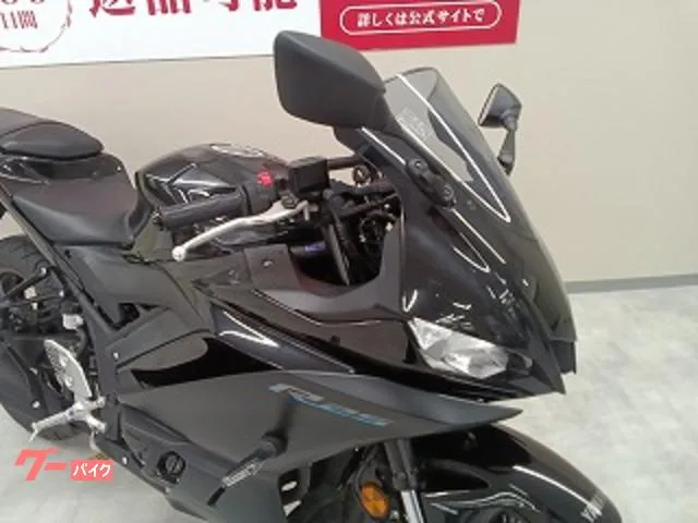 Yamaha YZF-R25/ABS/RG74J /ABS/C/ 2023 — миниатюра 2