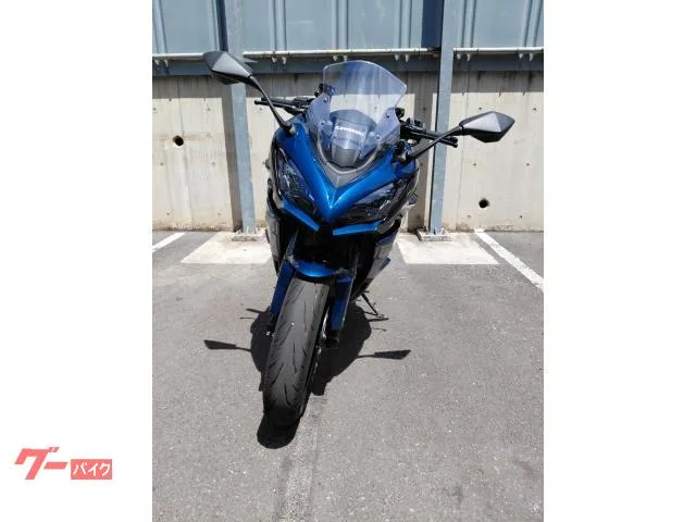 Kawasaki Ninja 1100 SX SE ABS / ETC 2026 — миниатюра 4
