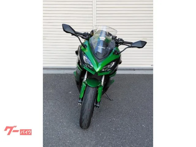 Kawasaki Ninja 1100 SX SE ABS / ETC 2026 — миниатюра 4