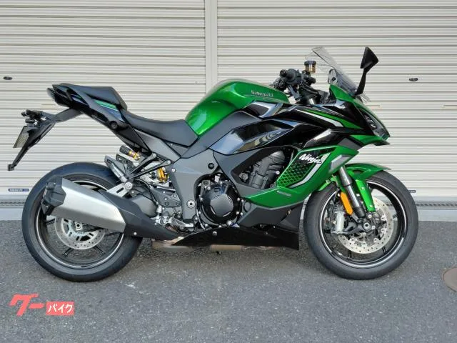 Kawasaki Ninja 1100 SX SE ABS / ETC 2026 — фото 1, купить с доставкой в Москву