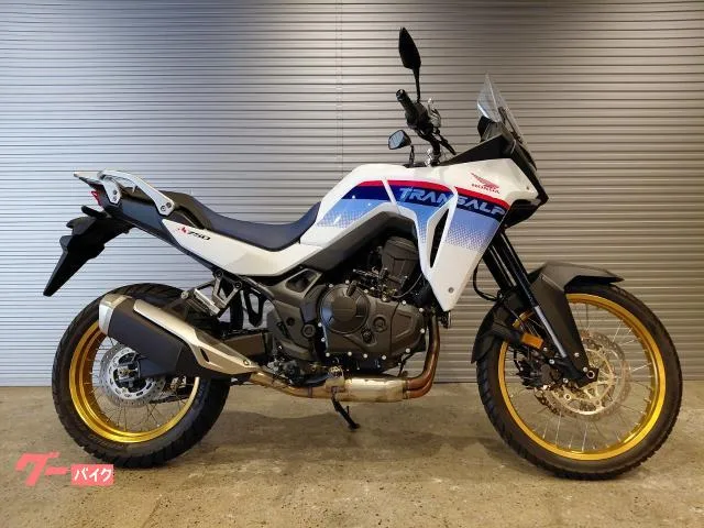 Honda XL750 ABS ETC2.0 2023 — фото 1, купить с доставкой в Москву