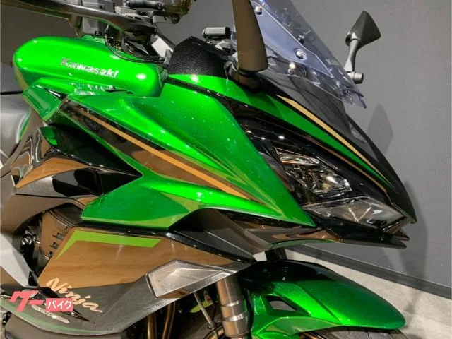 Kawasaki Ninja 1100 SX SE ETC 2026 — миниатюра 5