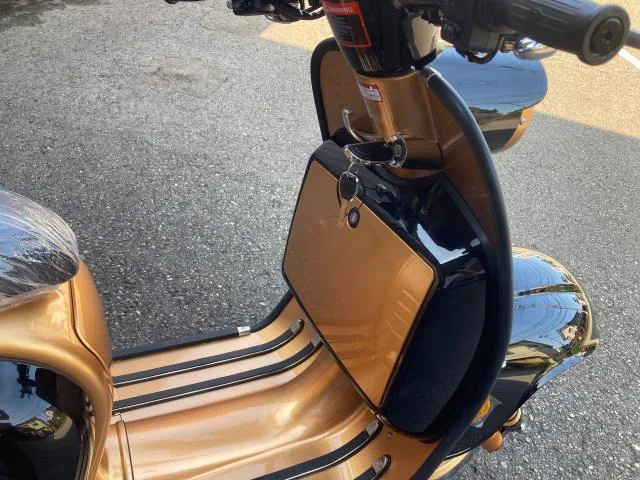 Royal Alloy JPS160 John Player Special 160cc 2025 — миниатюра 3