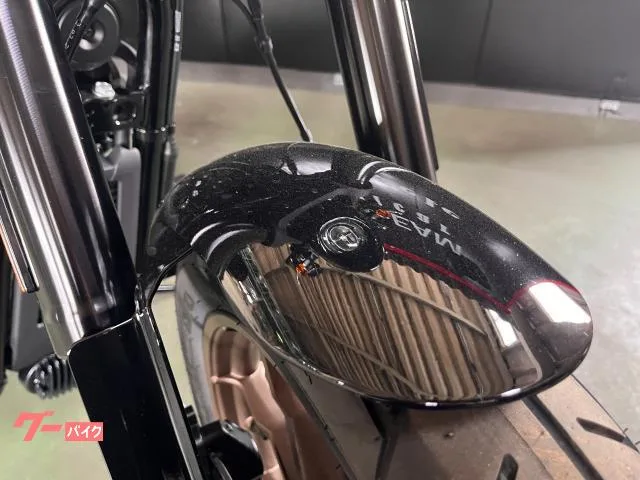HARLEY-DAVIDSON FXLRS S 1920cc 117ci 2 LED 2023 — миниатюра 2