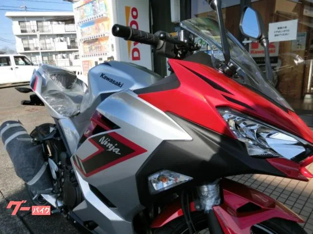 Kawasaki Ninja 250 2026 2026 — миниатюра 2