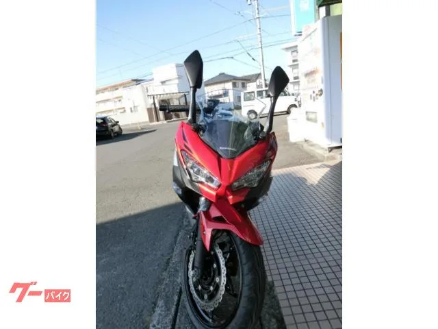 Kawasaki Ninja 250 2026 2026 — миниатюра 3