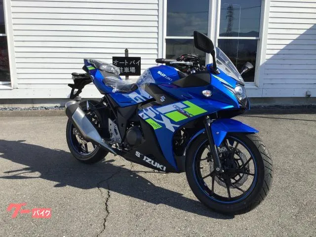 Suzuki GSX250R 2024 — миниатюра 3