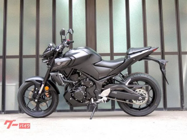 Yamaha MT-03(320cc) RH21J LED ETC2.0 USB 3 2024 — миниатюра 4