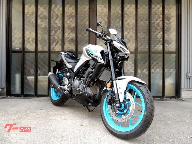 Yamaha MT-25 LED 2 USB RG95J 2025 — фото 1, купить с доставкой в Москву