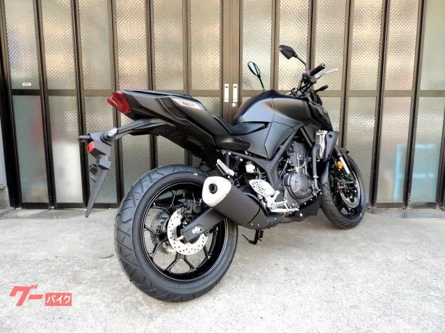Yamaha MT-25 LED - RG95J 2025 — миниатюра 2