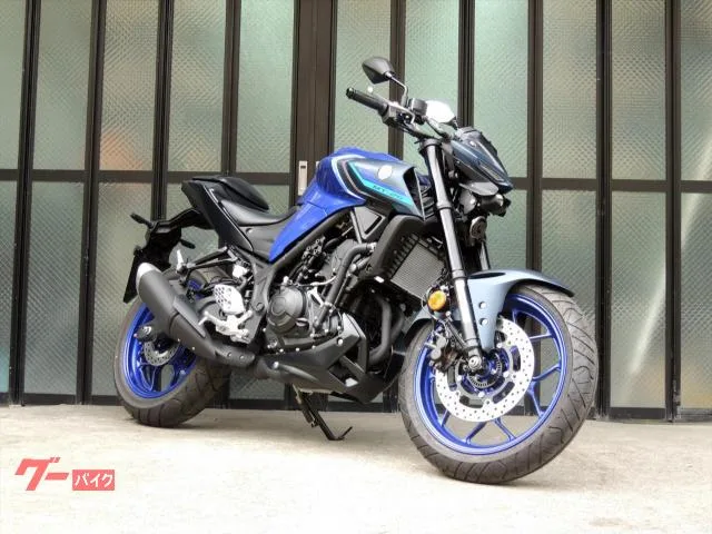 Yamaha MT-25 ABS LED RG74J 2024 — миниатюра 3