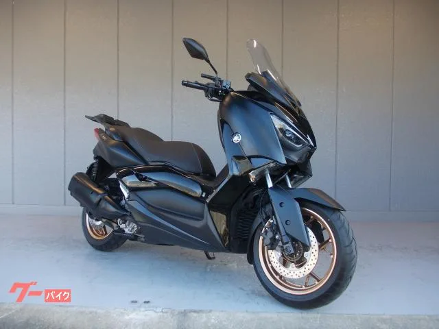 Yamaha X-MAX250 SG70J 2022 — фото 1, купить с доставкой в Москву