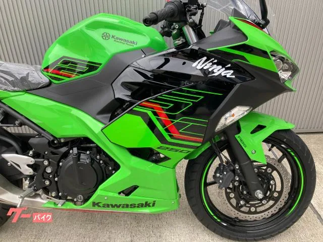 Kawasaki Ninja 250ABS KRT 2023 — миниатюра 2
