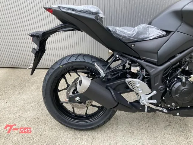 Yamaha MT-25ABS 2023 2023 — миниатюра 4