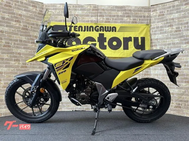 Suzuki V- 250SX M5 19 USB 2025 — миниатюра 2