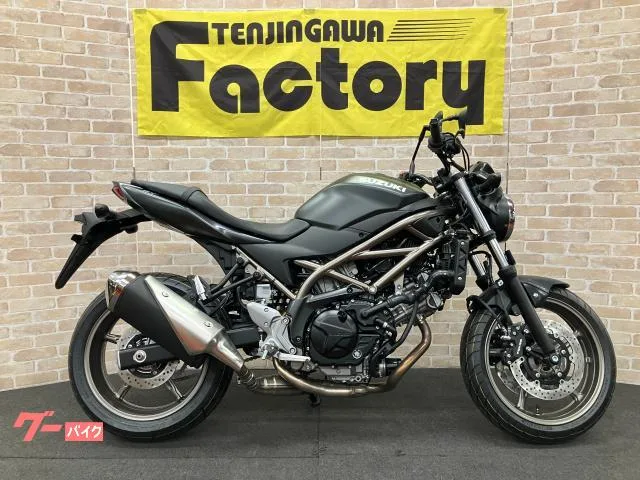 Suzuki SV650 ABS V RPM 2025 — фото 1, купить с доставкой в Москву