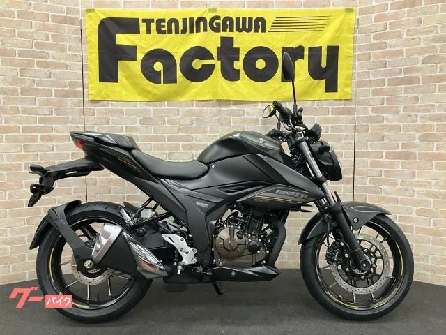 Suzuki GIXXER 250 ESP 2025 — фото 1, купить с доставкой в Москву